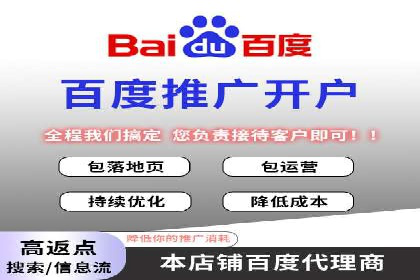 SEM代理操作技巧：成功案例揭秘